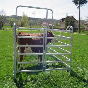 China Hot Dipped Galvanized Cattle Panels Yard Fence Panels Fit Australia And New Zealand on sale