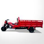 Togo Adult Zongshen Lifan Loncin Engine 150cc 200cc Farming Truck Cargo Tricycle
