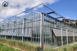 Large Agricultural Multi Span Glass Greenhouse Square Commercial Hydroponic
