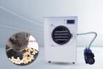 Electric Heating Home Food Freeze Dryer 6 Trays