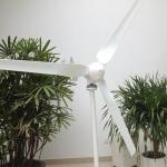 IP54 Horizontal Shaft Wind Turbine 12V 24V 400W 600W Permanent Magnet Wind