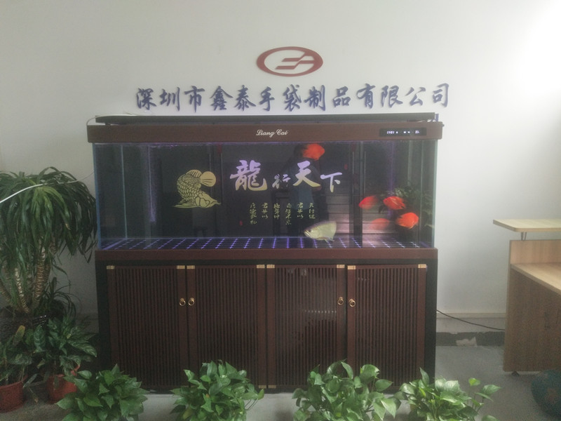 Factory direct export non-woven fabric pp spunbond non-woven fabric agricultural planting cover soil dust-proof and weed-proof