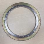 Outer Sealing CS ASME B16.21 316L Metal Ring Gasket