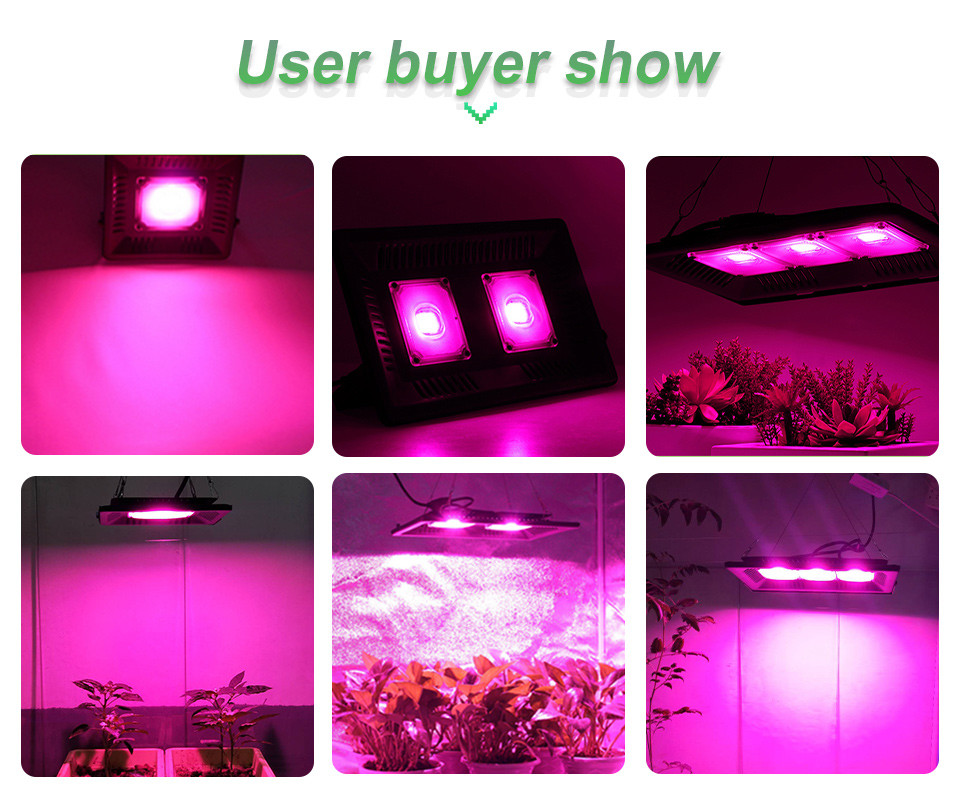 Full Spectrum COB LED Chip