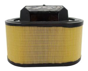 Wholesale 670001545 Engine Parts Air Filter from china suppliers