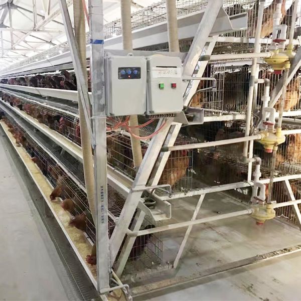 Hot-Dip Galvanized Laying Hen Cage with Automatic Feeding System and Low Maintenance for Poultry Farming