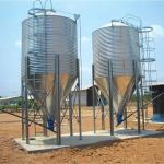 Pan Feeding SS304 3.5m Broiler House Equipment For Chicken