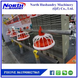 Wholesale Poultry Equipment, Poultry Farming, Cages, Poultry Environmental from china suppliers