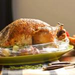 Pizza PE Roaster Oven Cooking Bags Meat Roasting Fish Oven Bags Safe For