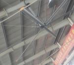 Large Low Velocity Industrial Warehouse Ceiling Fans