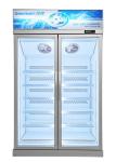 Classic Design Factory Wholesale Commercial Display Fridge -22 To -18
