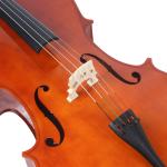 Factory Hot Sale Solid Wood Cello China Hand Made Solidwood classical music Most