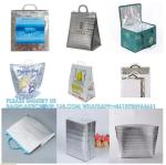 Wholesale Plastic Handle Picnic Insulated Lunch Cooler Bags Pizza Salmon Fruit