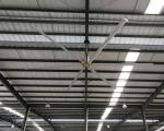 Large Cooling Gearbox Ceiling Fan