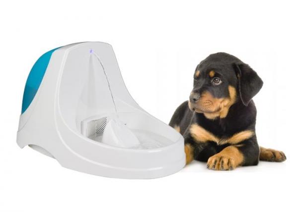 Quality 3.6L Automatic Dog Water Fountain Quiet Cat Drinking Fountain With LED Light for sale