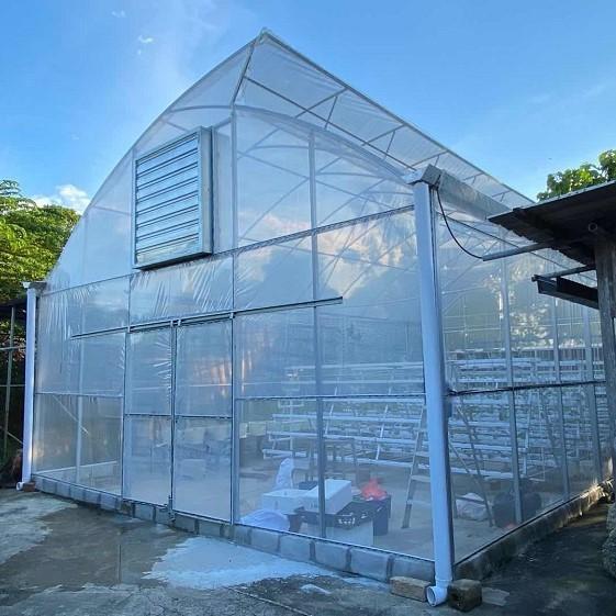 100m Length Plastic High Tunnel Farming Polyethylene Film Greenhouse For Crop