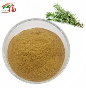 Wholesale brown Rosemary Extract Powder Carnosic Acid HPLC For Healthy Food from china suppliers