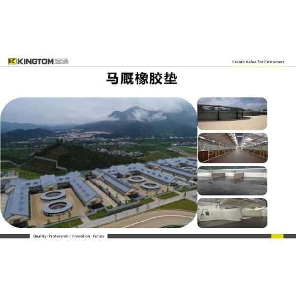 Anti Skid Equine Pool Mats Waterproof Customize 1/2 Inch Stall Mats