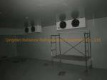 Blood Suitable Cold Storage Chiller/Freezer Room Air Cooled Cooling Capacity