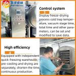 High Productivity Vacuum Freeze Drying Equipment for Food and Vegetable 30kg Per