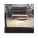 Eucalyputs Hardwood Rectangle 25mm Film Faced Plywood