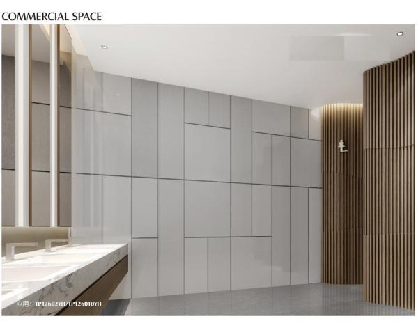 Homogeneous Matt Glazed Porcelanato Porcelain Tile , 600x1200mm Rustic Floor