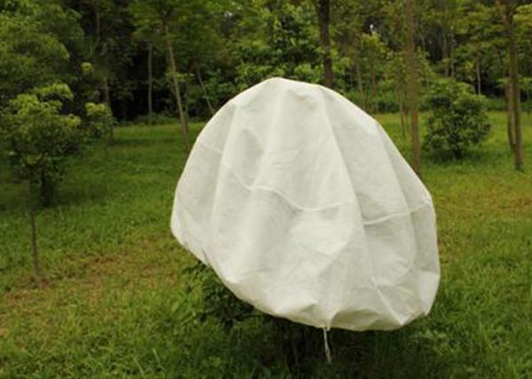 Hydrobilic Agriculture Non Woven Fabric PP Winter Protection No Pollution For