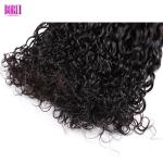 Unprocessed Indian Human Hair , Water Wave Virgin Hair Bundles With Closure