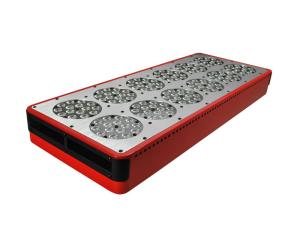 Wholesale CIDLY 12 hydroponic grow cabinet 540w led grow light equal 1000w hps led grow light from china suppliers