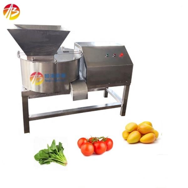 Commercial 3kw Potato Apple Tomato Crusher Machine for Fruit and Vegetable