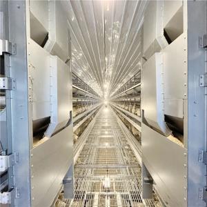 Wholesale 4-8 Tier Layer Egg Cages Chicken Battery Poultry Farm from china suppliers