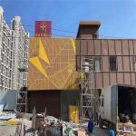 Outdoor Aluminum Perforated Laser Cut Panel 800x800mm Powder Coated