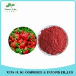 Food Ingredients Freeze Dried Strawberry Fruit Powder from China