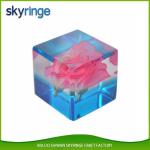 Made In China Resin Acrylic Paperweight Souvenir Gifts