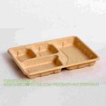 Bagasse Paper Container Biodegradable Paper Plate Disposable Pulp 11" X 8 Inch