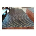 Construction Two Times Hot Press 4x8 Plastic Film Faced Ply