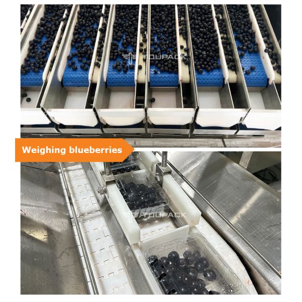 Fruit Clamshell Packaging Line Automatic Fruit Weighing And Filling Machine PET Box Fruit Packaging System