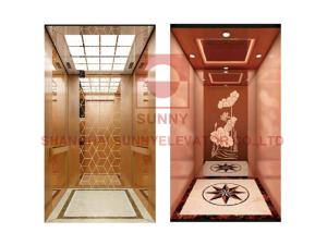 Wholesale Home Observation Panoramic Passenger Elevator With Vvvf Control from china suppliers