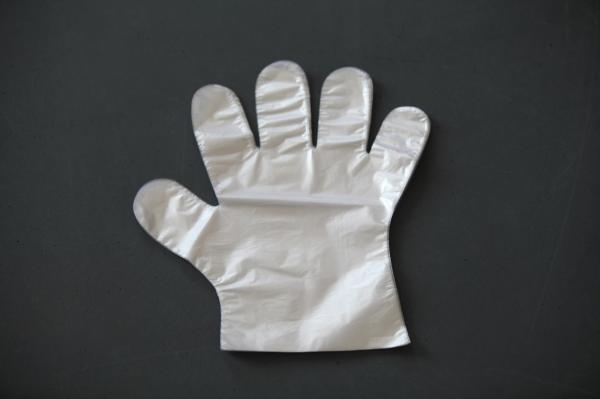 Polyethylene Food Grade Disposable Gloves Clear How Density Polyethylene