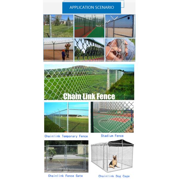 Farm And Field 2mm Chain Link Mesh Fencing Galvanized Power Coated