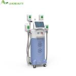 4 cryo handle body slimming weight loss cryolipolysis machine new cryolipolysis