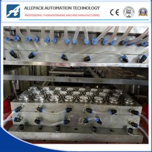 Wholesale 510*580mm Mold Making for PP Container Plastic Thermoforming Mold from china suppliers