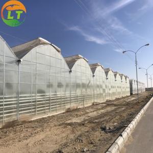 Wholesale Galvanized Skeleton Cover Film for Agricultural Product in Shouguang Easy to Install from china suppliers