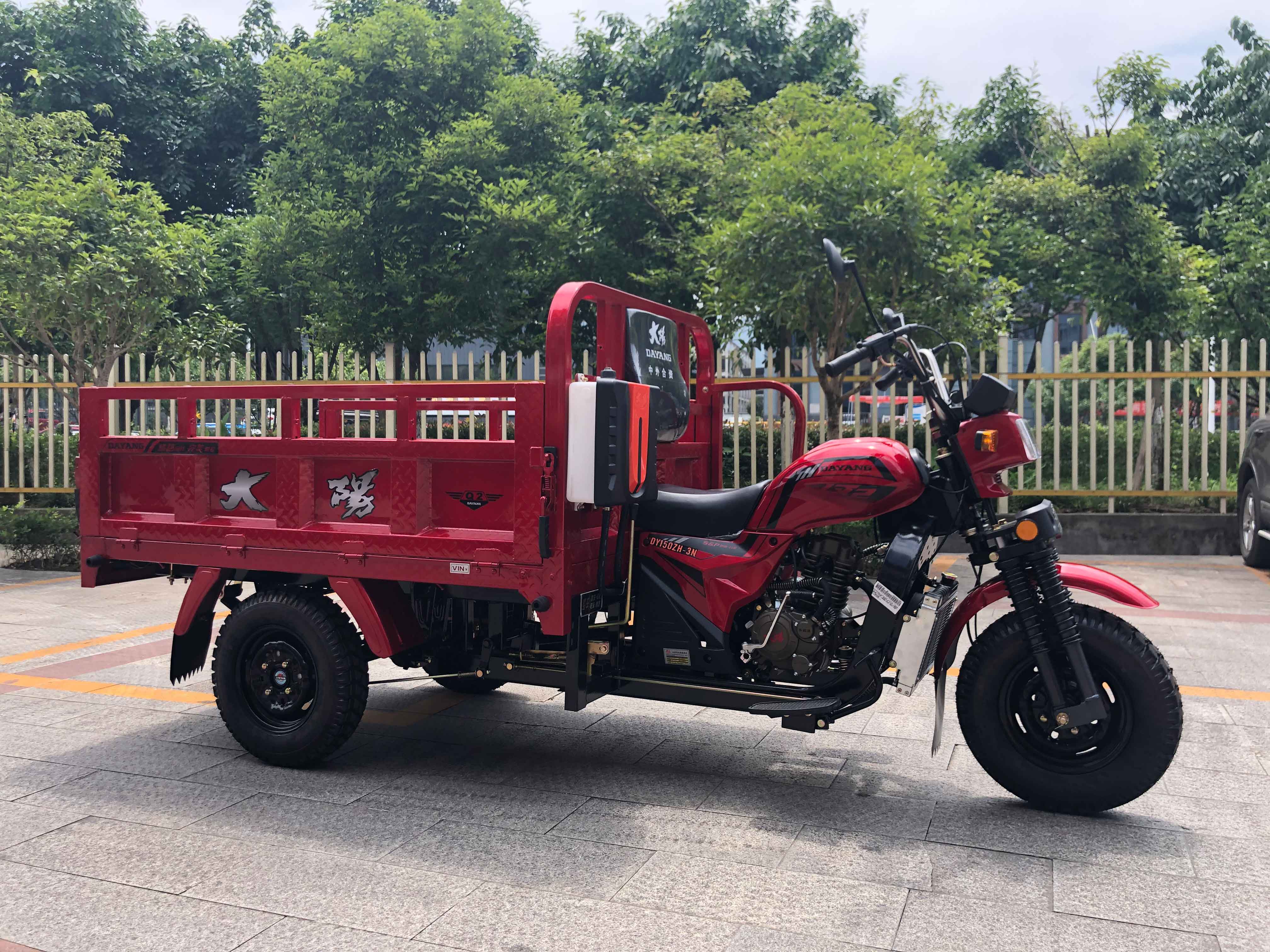 DAYANG DY5 150 200 250CC Gasoline Engine Cargo Tricycle for Heavy Load Transportation