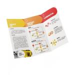 OEM Paperboard Color Brochure Printing Perfect Binding Saddle Stitching