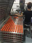 basketball golf ball , golf balls , golf ball