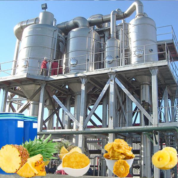 Industrial Pineapple Fruit Drink Production Line Dedicated For Beverage