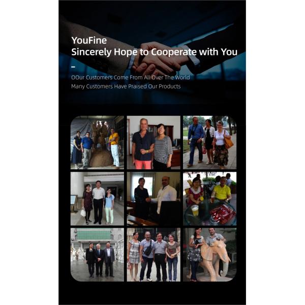 Interior Decoration Life Size Marble Statue Head Decoration