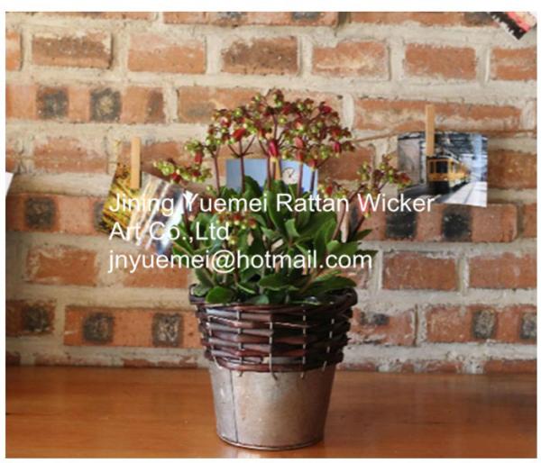 China manufacturer wicker garden baskets willow plant baskets round shape steel