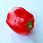 220 ASTA Sweet Paprika Pepper Non Irradiated Seedless NO Pigment